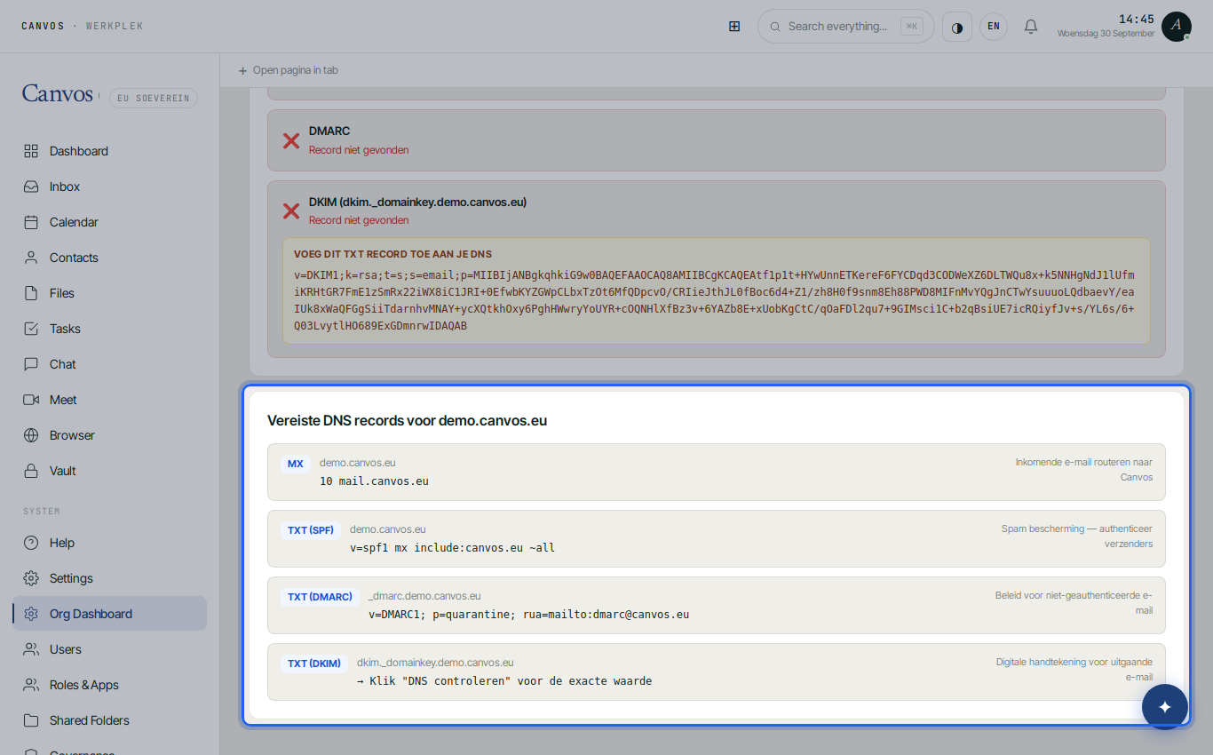 The required DNS records for demo.canvos.eu after the check